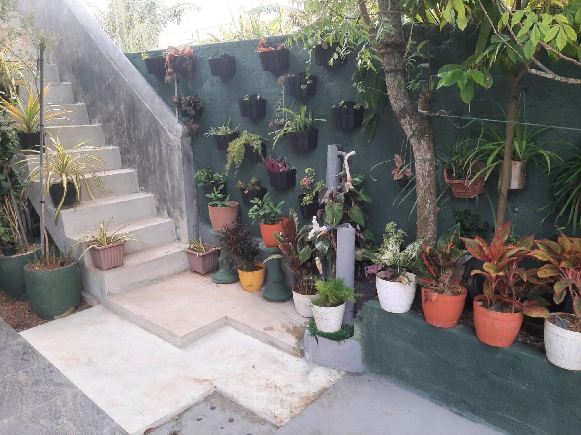 Weerakoon Garden Guest Hotel Hikkaduwa Ngoại thất bức ảnh